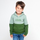 Толстовка для мальчика, цвет серо-зелёный, рост 104 см - фото 9718168