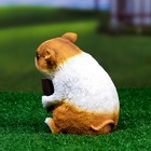 Садовая фигура "Морская свинка с аккордеоном" 10x13,5x17см - Фото 4