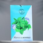 Аромасаше «Мята и ментол», 10 г - Фото 1