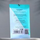 Аромасаше «Мята и ментол», 10 г - Фото 2