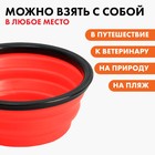 Миска силиконовая «ONLY FOR DOG», 350 мл, красная, 12.8 х 4.5 см - Фото 4
