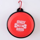 Миска силиконовая «ONLY FOR DOG», 350 мл, красная, 12.8 х 4.5 см - Фото 7