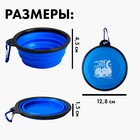 Миска силиконовая «Счастливый кот», 350 мл, синяя, 12.8 х 4.5 см - фото 46795712