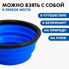 Миска силиконовая «Счастливый кот», 350 мл, синяя, 12.8 х 4.5 см - Фото 4