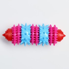 

Игрушка жевательная 15,5 х 5,5 см, красная/розовая/голубая