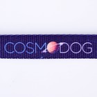 Поводок COSMO DOG, 2 см 1,5 м - Фото 4