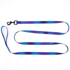 Поводок «Даже на краю света», 2 см, 2 м - фото 39060351