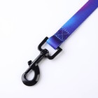 Поводок «Даже на краю света», 2 см, 2 м - фото 39060353