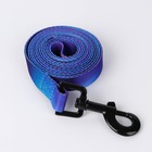 Поводок «Даже на краю света», 2 см, 2 м - фото 39060355