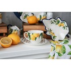 Сервиз фарфоровый чайный Доляна «Лимон», 12 предметов: 6 чашек 250 мл, 6 блюдец d=15,5 см, цвет белый - фото 4351773