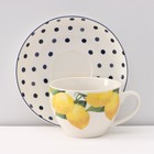 Сервиз фарфоровый чайный Доляна «Лимон», 12 предметов: 6 чашек 250 мл, 6 блюдец d=15,5 см, цвет белый - Фото 3