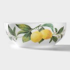 Салатник керамический Доляна «Лимон», 600 мл, d=15,5 см, цвет белый - фото 24446900