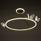Люстра "Бабочки" LED 68Вт 3000-6000К золото 50х50х27,5 см BayerLux - Фото 3