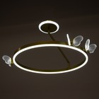 Люстра "Бабочки" LED 68Вт 3000-6000К золото 50х50х27,5 см BayerLux - Фото 4