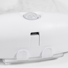 Ночник «Любовь» LED 3 Вт USB АКБ белый 12×14.5 см RISALUX - Фото 8