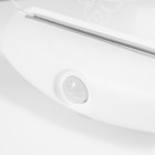 Ночник «Единорог» LED 3 Вт USB АКБ белый 12×14.5 см RISALUX - Фото 7