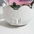 Ночник "Домик" LED белый 7х7х11 см RISALUX - фото 21584339