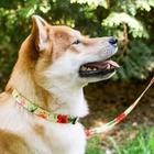 Поводок 2 м и ошейник 28-46 см «Цветы», застёжка - фастекс - Фото 11