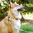 Поводок 2 м и ошейник 28-46 см «Цветы», застёжка - фастекс - Фото 12