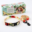 Поводок 2 м и ошейник 28-46 см «Цветы», застёжка - фастекс - Фото 2