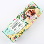 Поводок 2 м и ошейник 28-46 см «Цветы», застёжка - фастекс - Фото 9