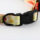 Поводок 2 м и ошейник 28-46 см «Цветы», застёжка - фастекс - Фото 6