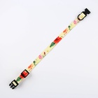 Поводок 2 м и ошейник 28-46 см «Цветы», застёжка - фастекс - Фото 7