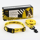 Набор OFF-CAT, застёжка - фастекс, поводок 2 м и ошейник 28-46 см - Фото 2
