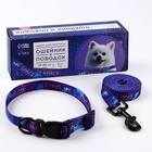 Набор MY SPACE, застёжка - фастекс, поводок 2 м и ошейник 28-46 см - Фото 2
