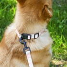 Набор «Ромбы», застёжка - фастекс, поводок 2 м и ошейник 28-46 см - Фото 10