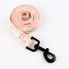 Набор «Ромбы», застёжка - фастекс, поводок 2 м и ошейник 28-46 см - Фото 14