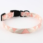 Набор «Ромбы», застёжка - фастекс, поводок 2 м и ошейник 28-46 см - Фото 5