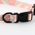 Набор «Ромбы», застёжка - фастекс, поводок 2 м и ошейник 28-46 см - Фото 6