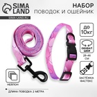 Набор «Нежность», застёжка - фастекс, поводок 2 м и ошейник 28-46 см - Фото 1
