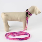 Набор «Нежность», застёжка - фастекс, поводок 2 м и ошейник 28-46 см - Фото 3