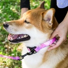 Набор «Нежность», застёжка - фастекс, поводок 2 м и ошейник 28-46 см - Фото 11