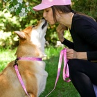 Набор «Нежность», застёжка - фастекс, поводок 2 м и ошейник 28-46 см - Фото 13