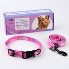 Набор «Нежность», застёжка - фастекс, поводок 2 м и ошейник 28-46 см - Фото 2
