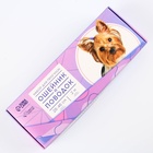 Набор «Нежность», застёжка - фастекс, поводок 2 м и ошейник 28-46 см - Фото 9