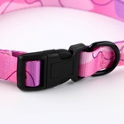 Набор «Нежность», застёжка - фастекс, поводок 2 м и ошейник 28-46 см - Фото 6
