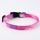 Набор «Нежность», застёжка - фастекс, поводок 2 м и ошейник 28-46 см - Фото 5