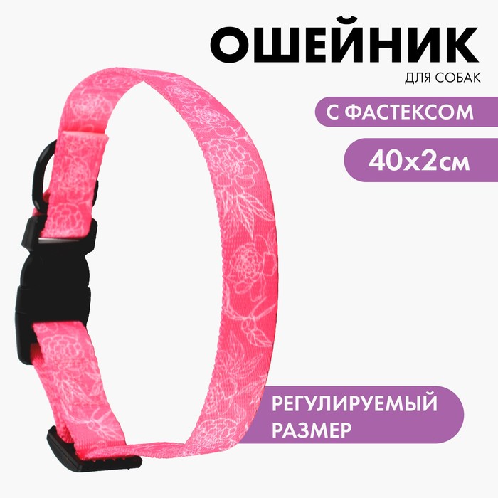 Ошейник My little princess, застёжка - фастекс, 2 см, 25-40 см - Фото 1