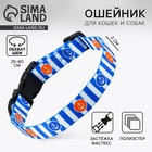Ошейник «Для большого путешествия», застёжка - фастекс, 2 см 25-40 см - Фото 1