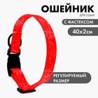 Ошейник One line, застёжка - фастекс, 2 см 25-40 см - Фото 1