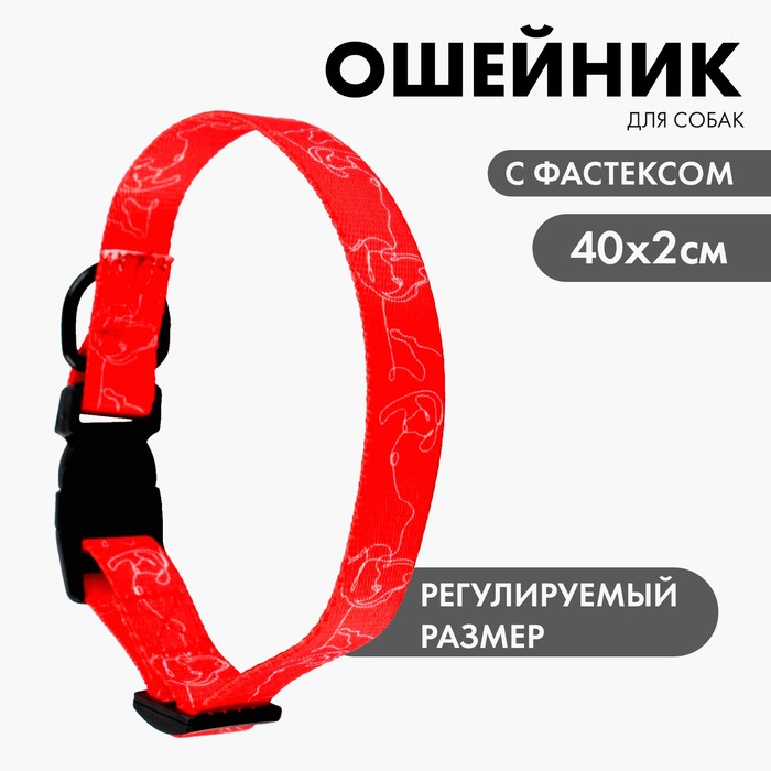 Ошейник One line, застёжка - фастекс, 2 см 25-40 см - Фото 1