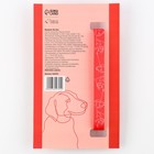 Ошейник One line, застёжка - фастекс, 2 см 25-40 см - Фото 5