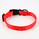 Ошейник One line, застёжка - фастекс, 2 см 25-40 см - Фото 7