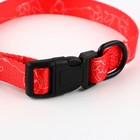 Ошейник One line, застёжка - фастекс, 2 см 25-40 см - Фото 8