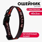Ошейник My dog is the best, застёжка - фастекс, 2 см 25-40 см - фото 6598904