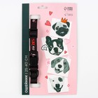 Ошейник My dog is the best, застёжка - фастекс, 2 см 25-40 см - Фото 2